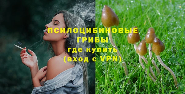 винт Баксан